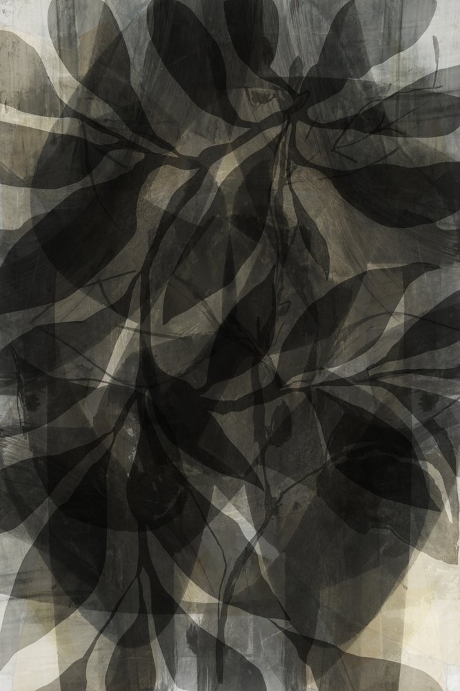 Shadowed Botanical Layers by cartissi