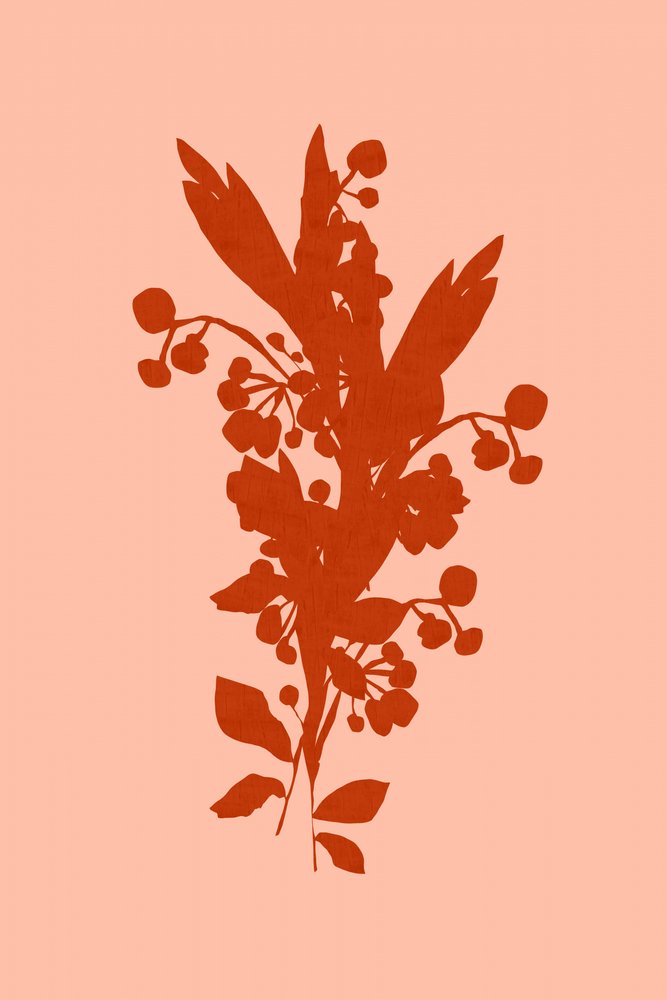 Terracotta Floral Silhouette by cartissi