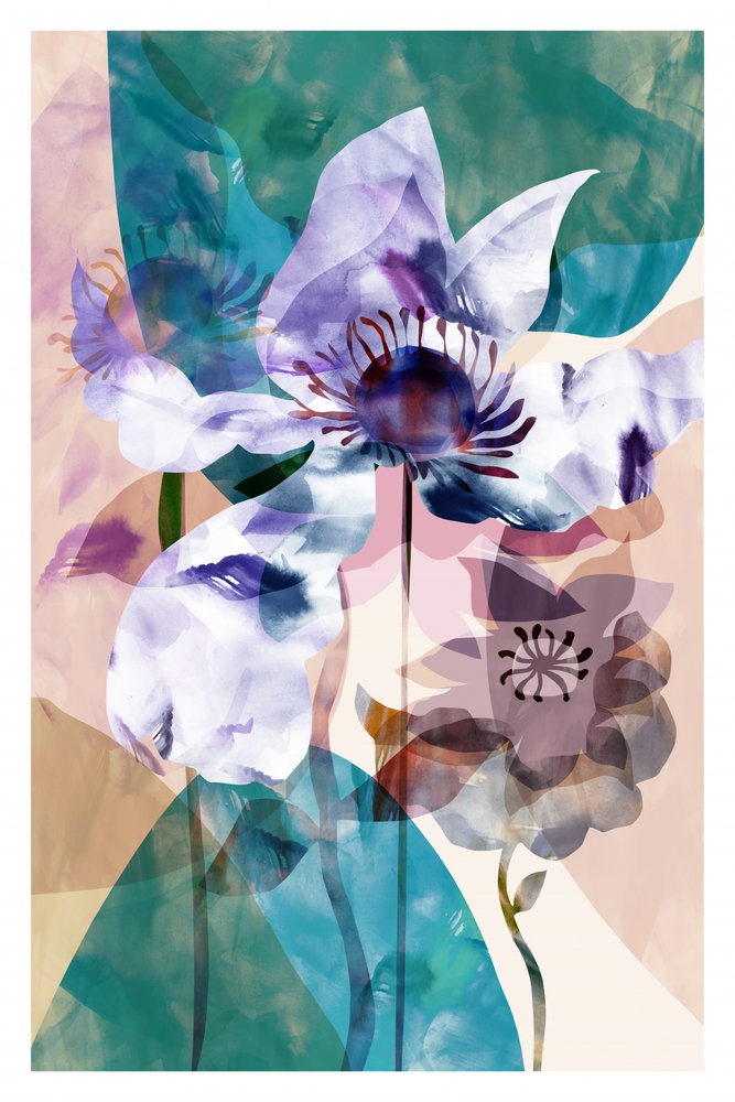 Translucent Floral Anemones by cartissi