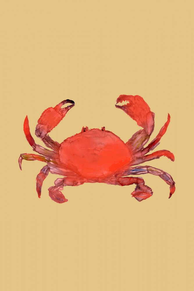 Vibrant Red Crab by cartissi