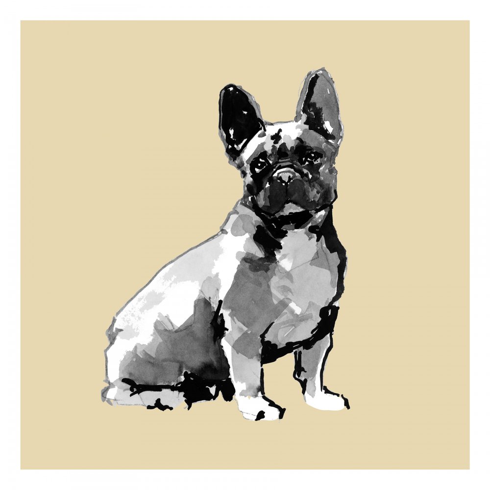 Watercolor French Bulldog by cartissi