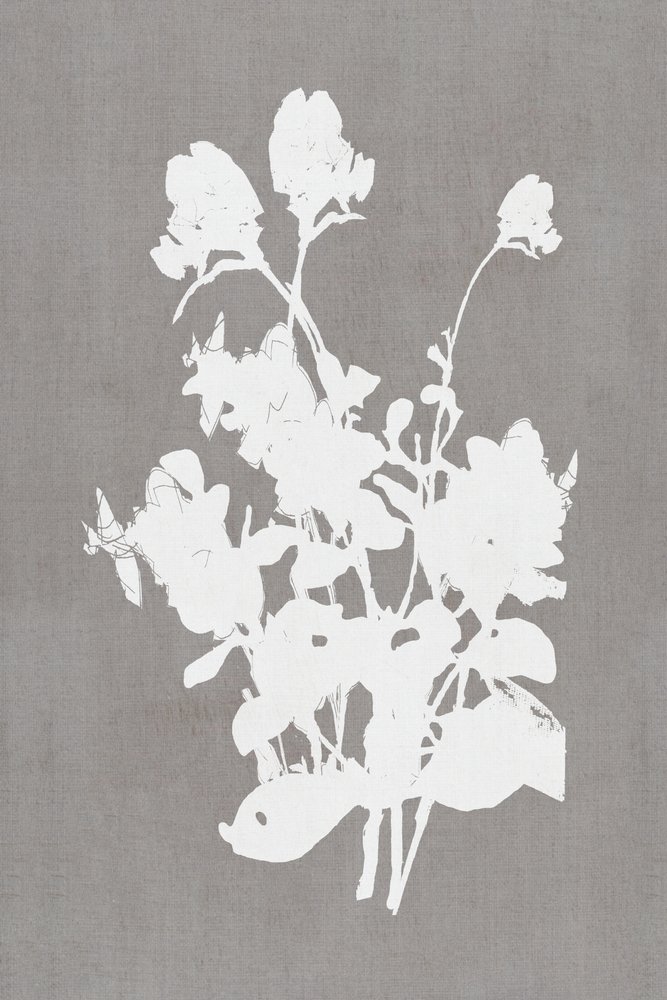 White Floral Silhouette by cartissi