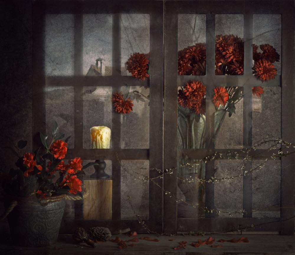 Dark Window Flowers by chenyi wang