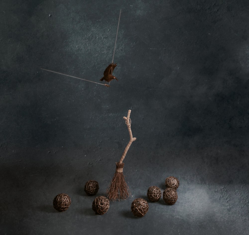 Magic Broom Flying Bird by chenyi wang