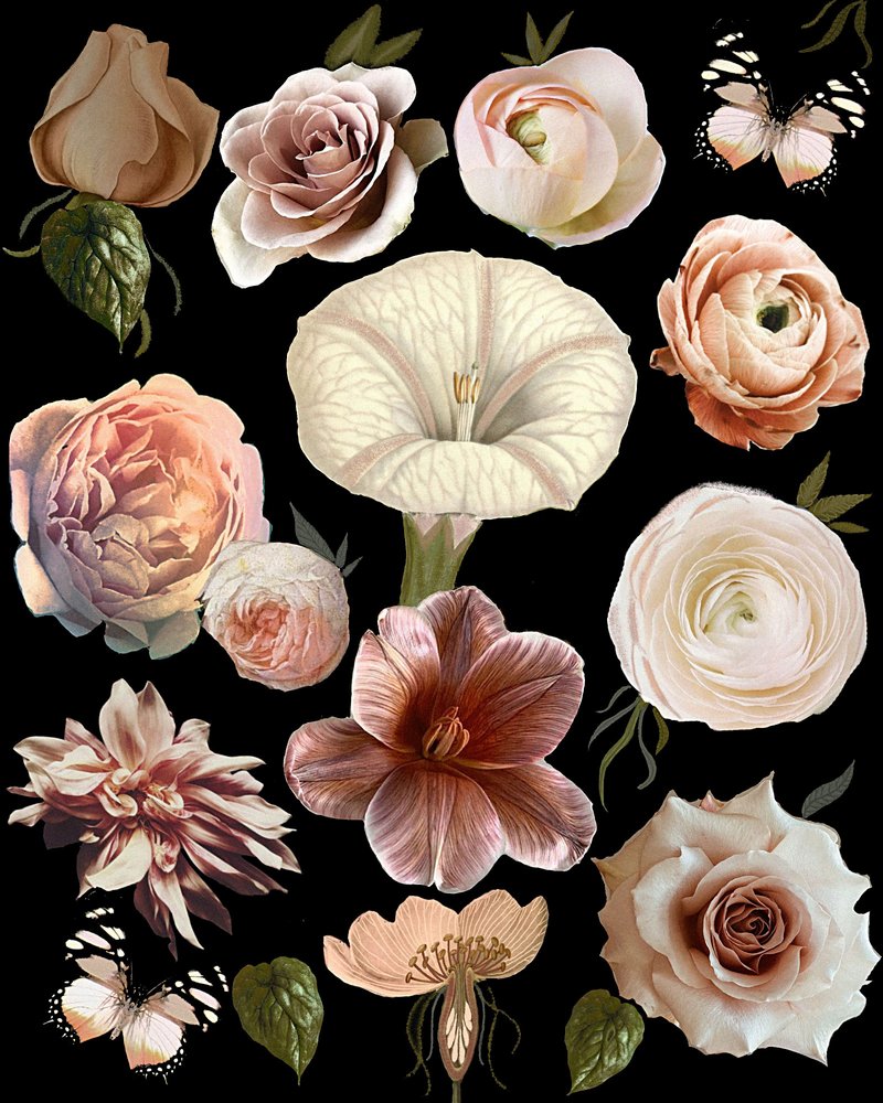 Dark Botanical Blooms by giovanna nicolo