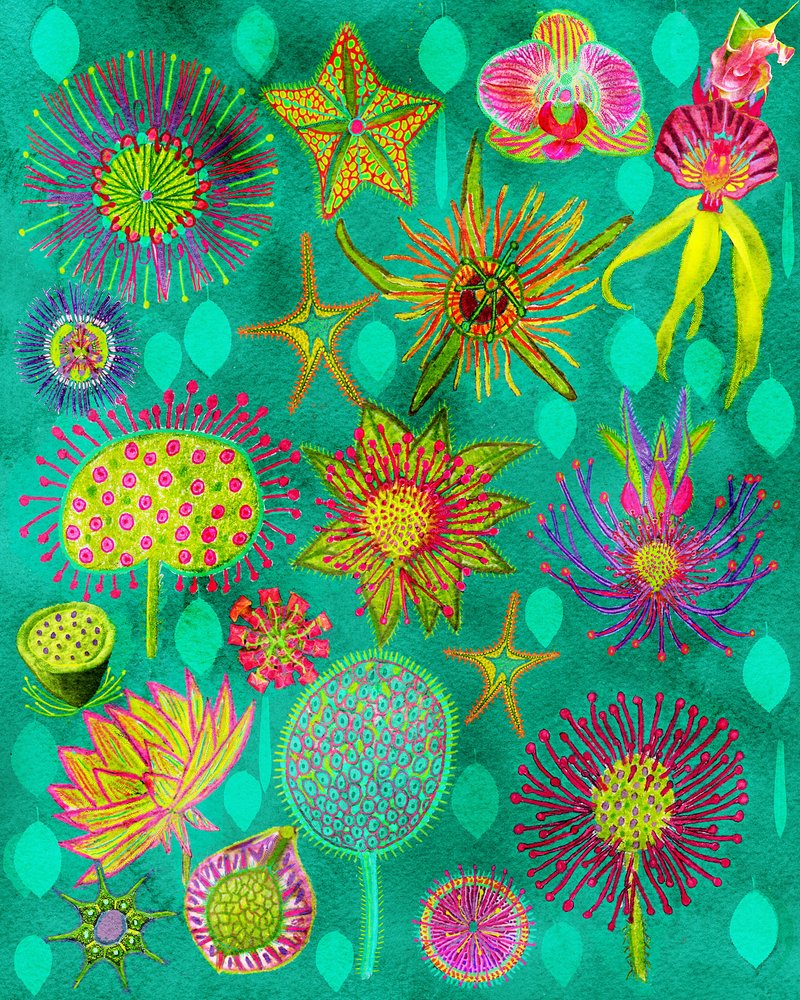 Vibrant Botanical Garden by giovanna nicolo