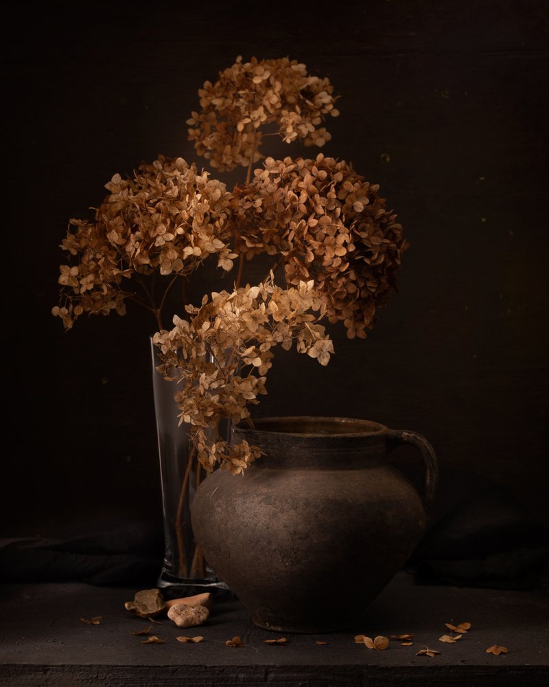 Rustic Dried Flowers Still Life by magnola
