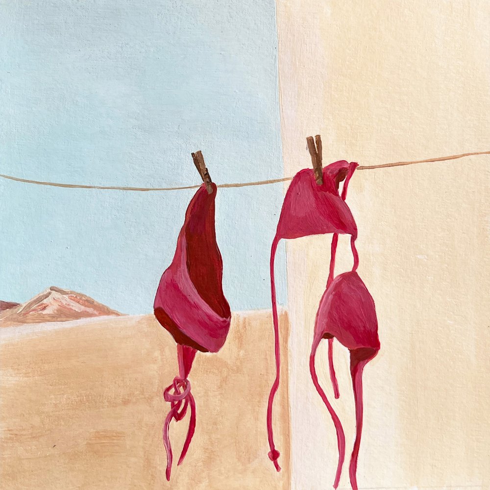 Desert Bikinis by marina dorgan