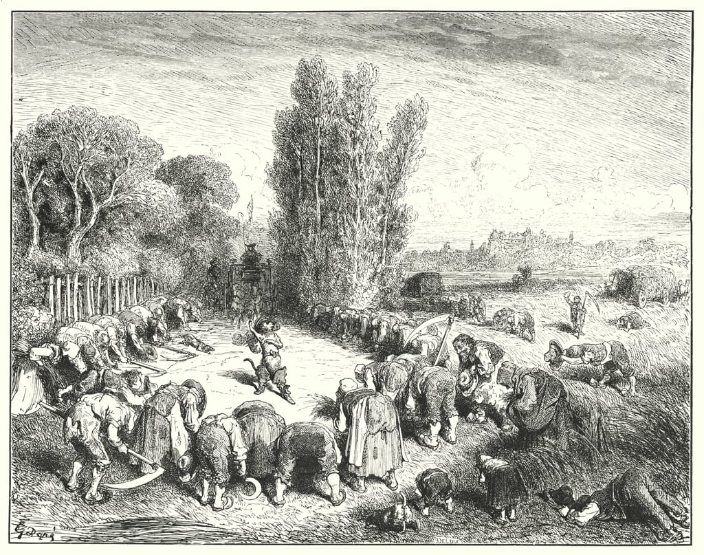 Bottine lemaitre 2025