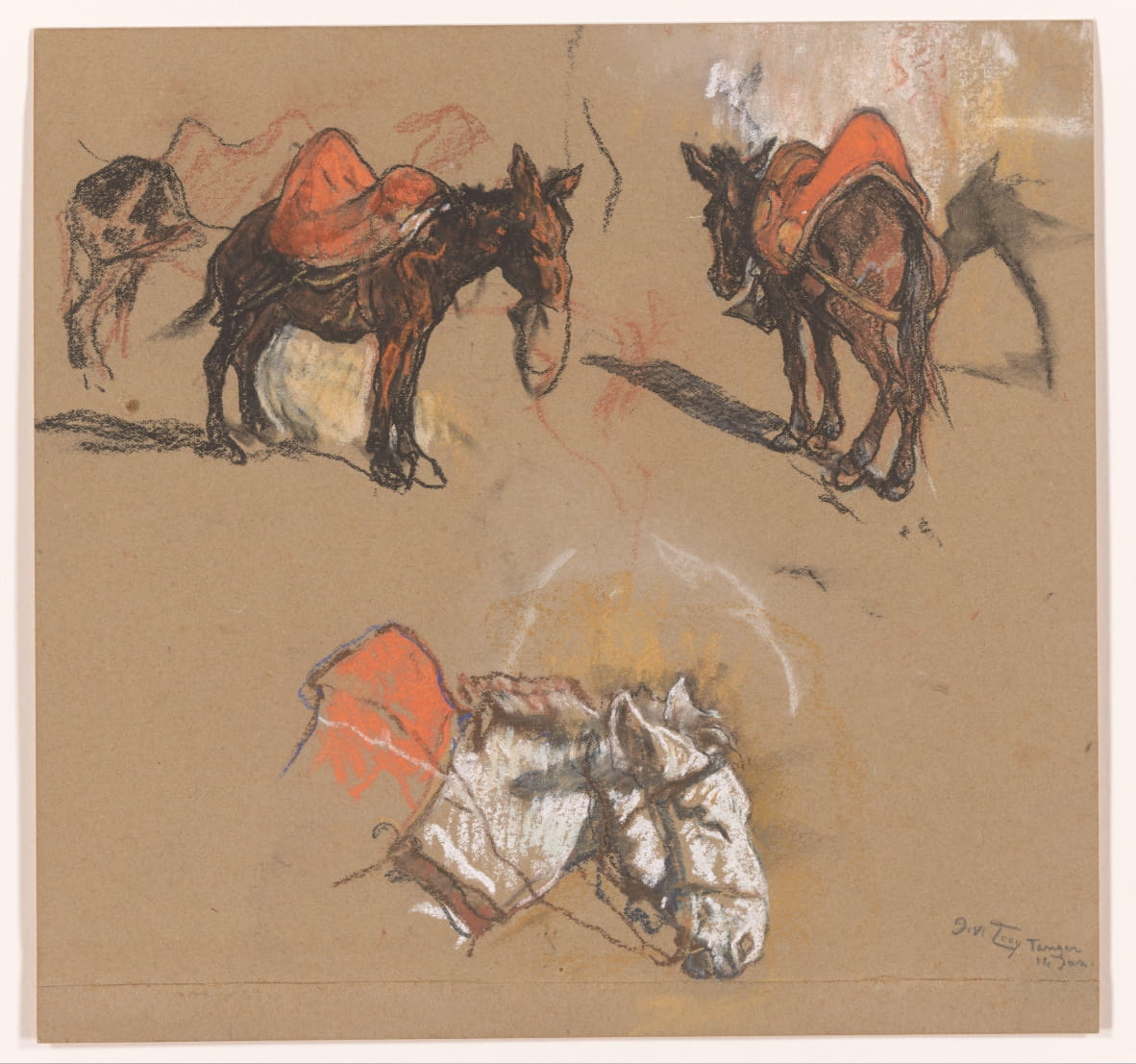 Studies of donkeys and a mule at the Grand Place in Tangier