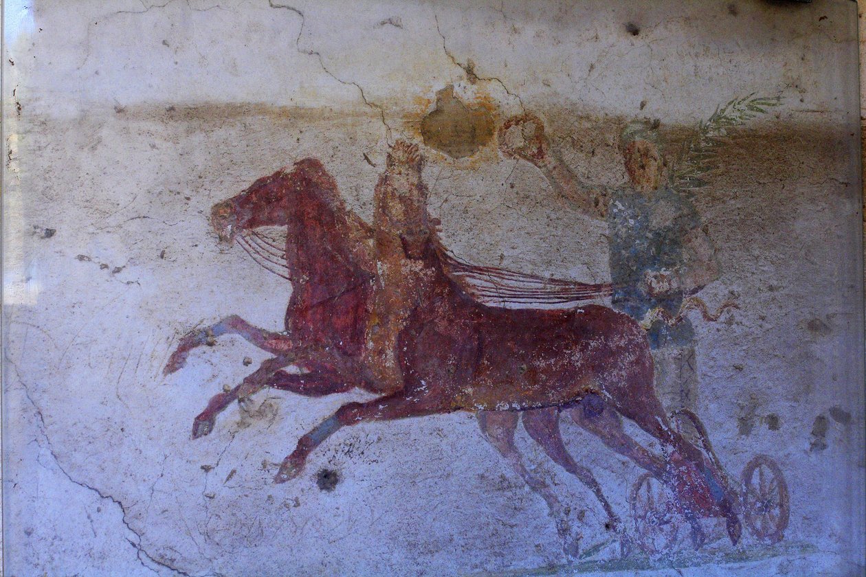 Domus of the Aurige, Ancient Ostia, Italy by Unknown