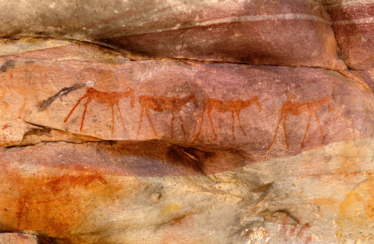 San Rock Paintings, Cedarburg, Western Cape by Unknown
