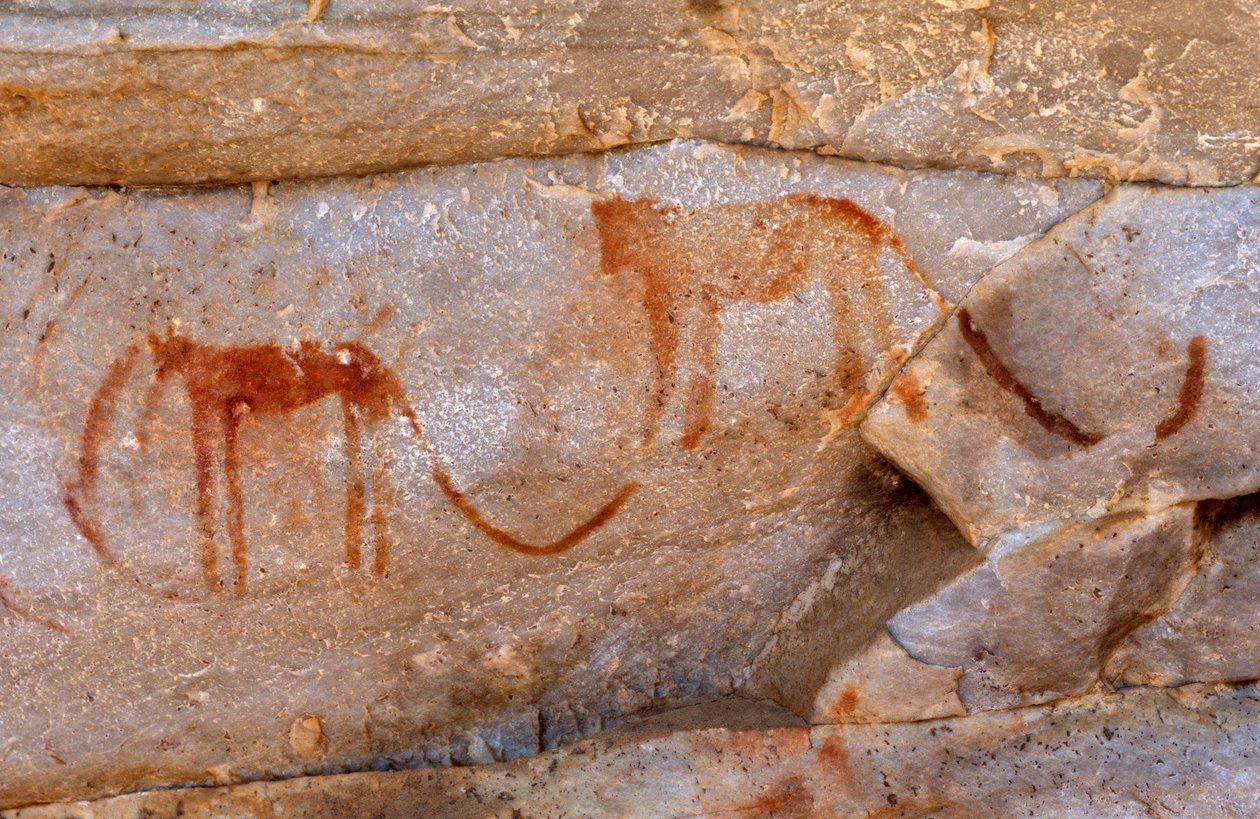 San Rock Paintings, Cedarburg, Western Cape by Unknown