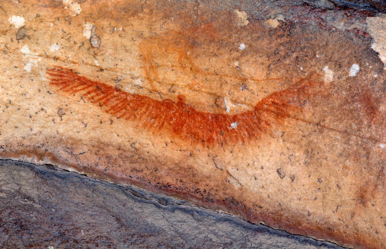 San Rock Paintings, Cedarburg, Western Cape by Unknown