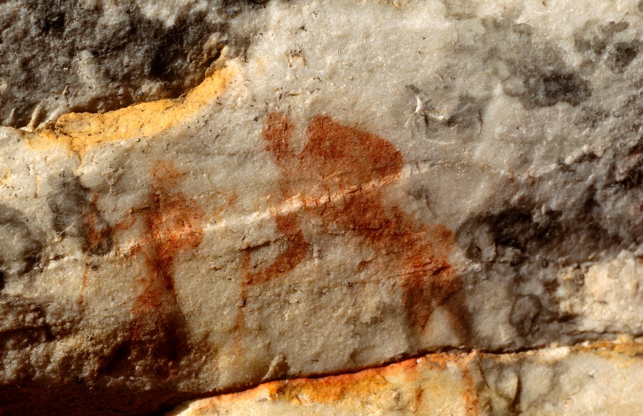 San Rock Paintings, Cedarburg, Western Cape by Unknown