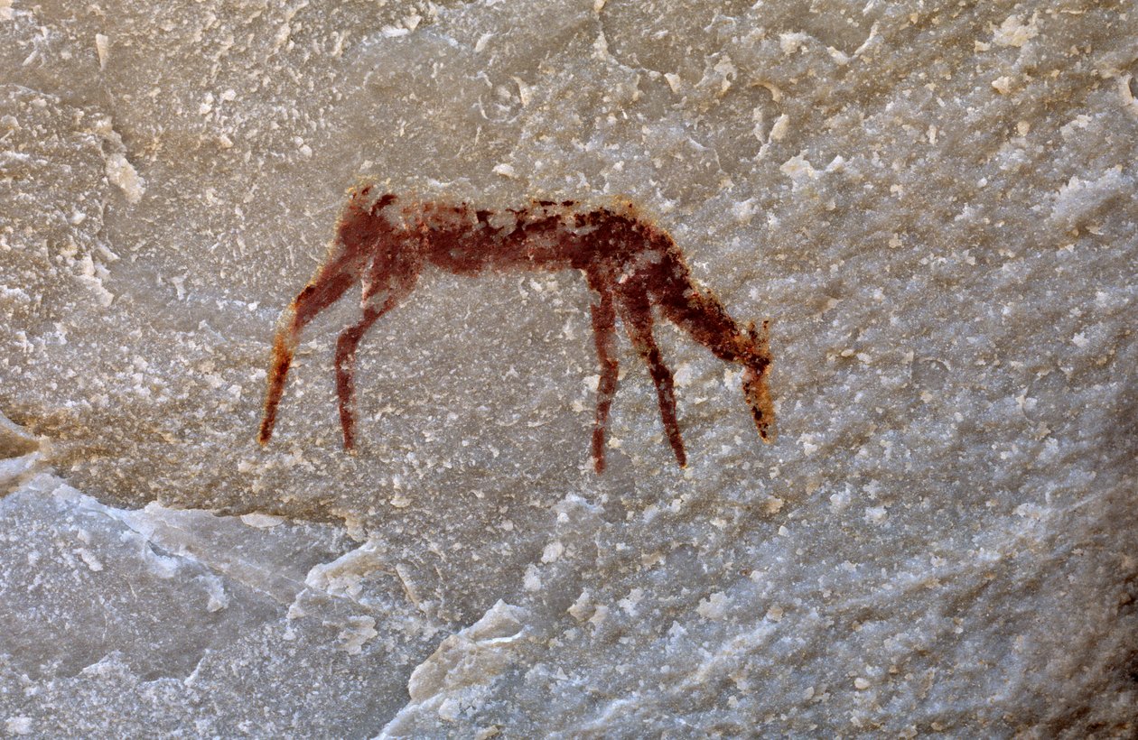 San rock painting, Cedarburg, Western Cape by Unknown