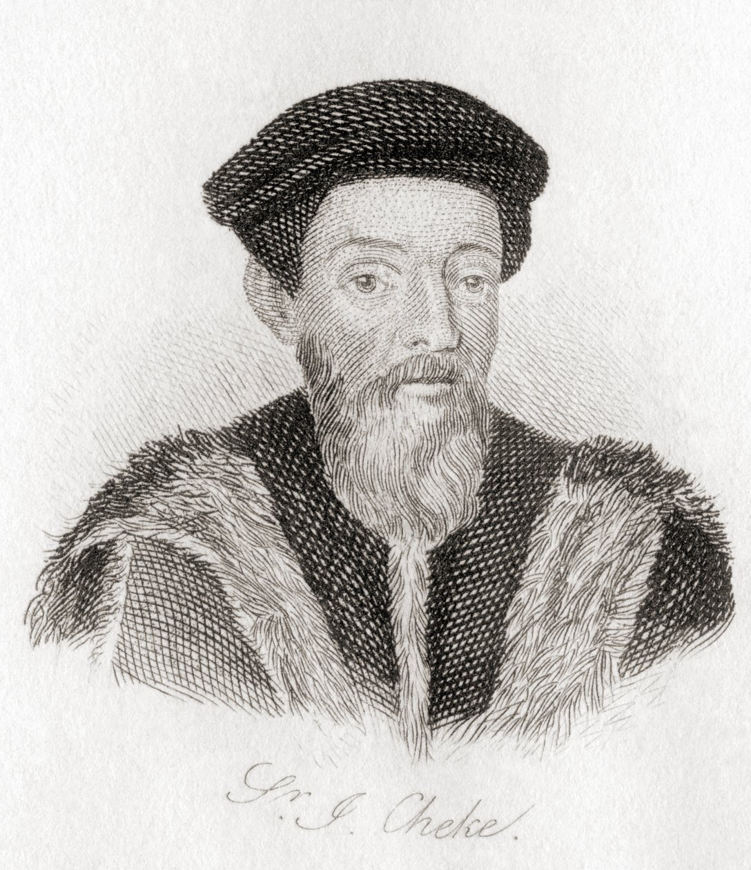 Sir John Cheke, 1514-1557 by Unknown