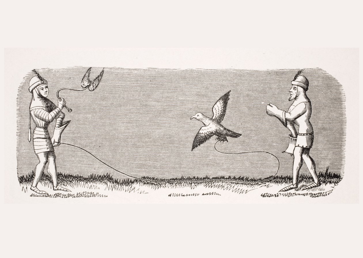 How to train a new falcon, reproduction of a miniature in the 14th century manuscript 
