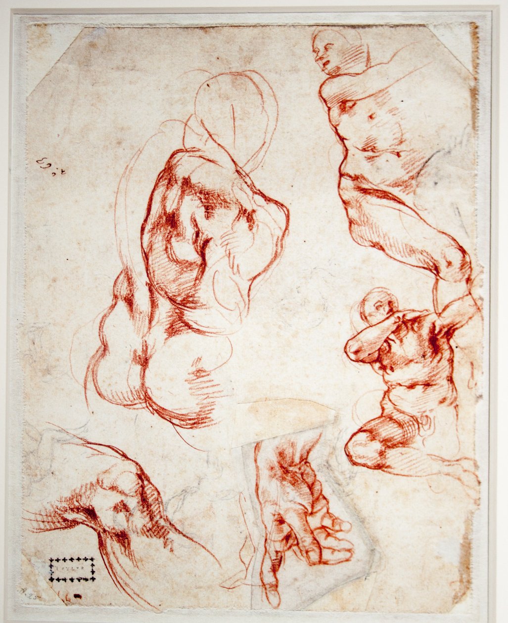 Study for the Hand of God (Creation of Adam)