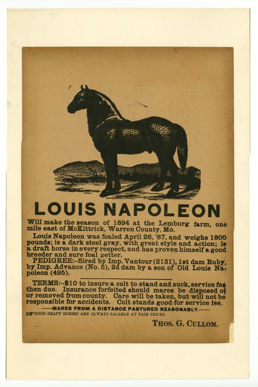 Broadside Advertising Draft Horse Louis Napoleon for Service, 1894 by Unknown