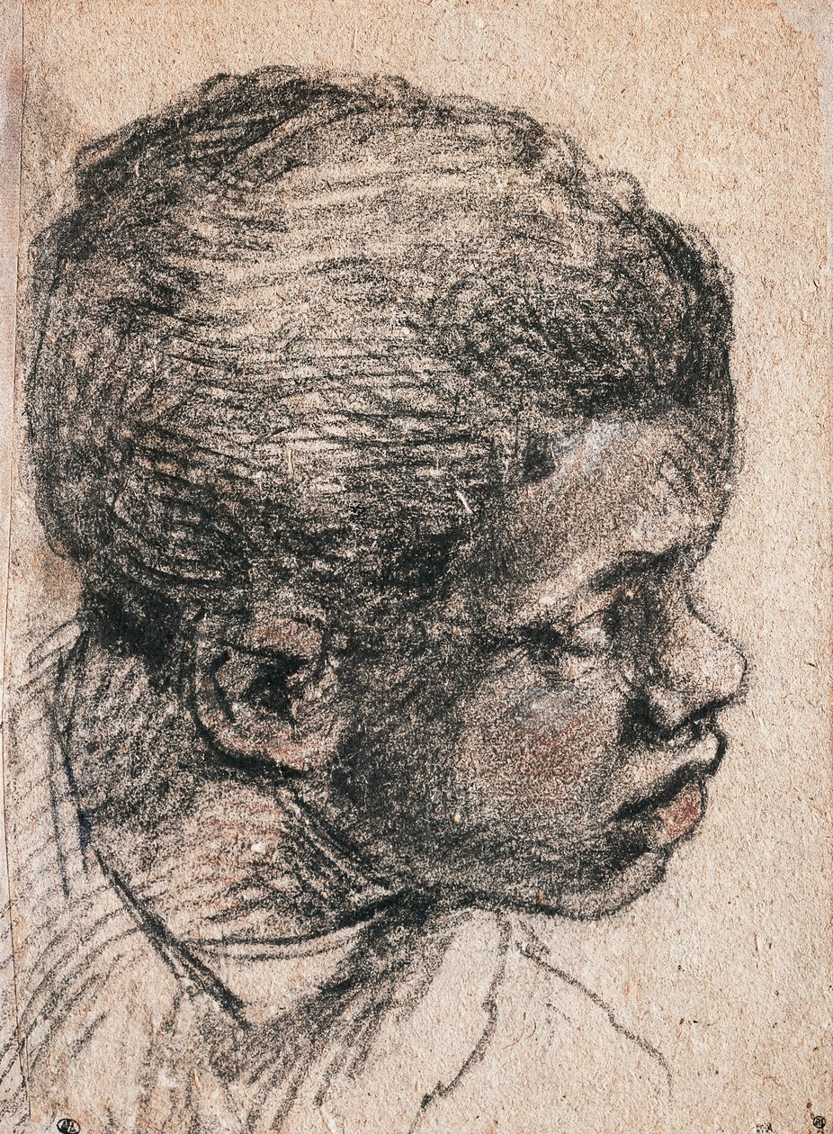 Head of Negro Boy, Drawing by Paolo Caliari Known as Veronese by Veronese