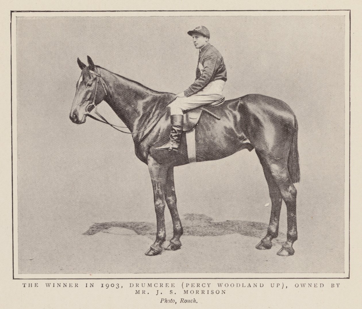 Drumcree, winner of the 1903 Grand National by (after) English photographer