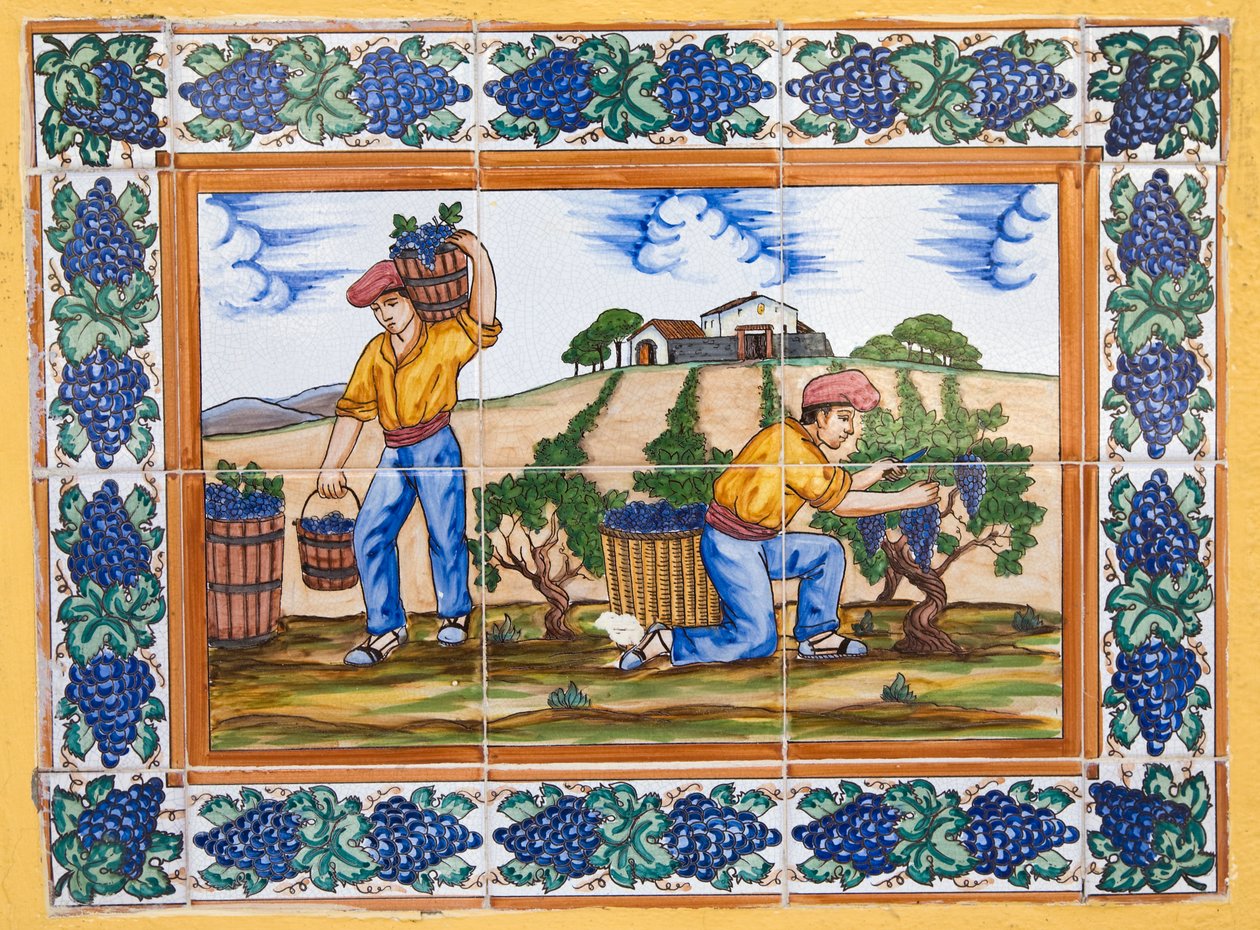 Modern Spanish Ceramic Tiles Showing Vineyard Workers Cutting Bunches of Grapes by Unknown