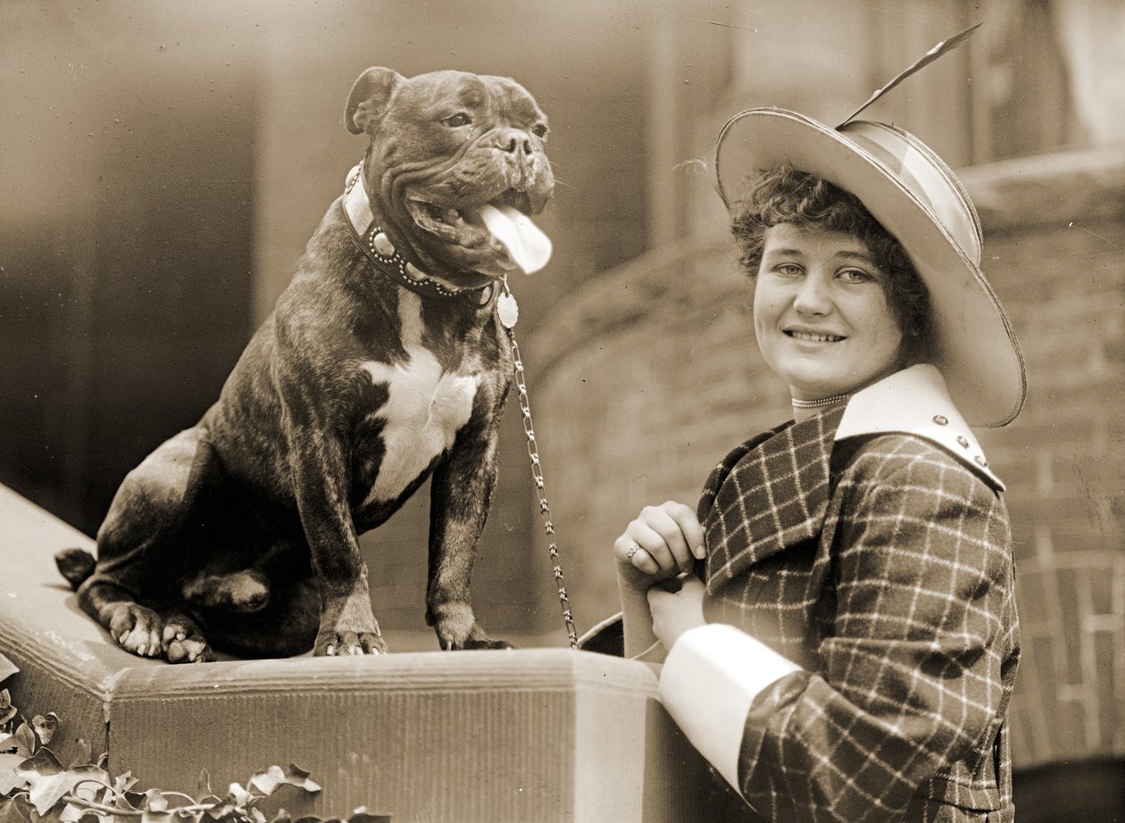 Young Girl and Her Bull Terrier c.1915 by Unknown