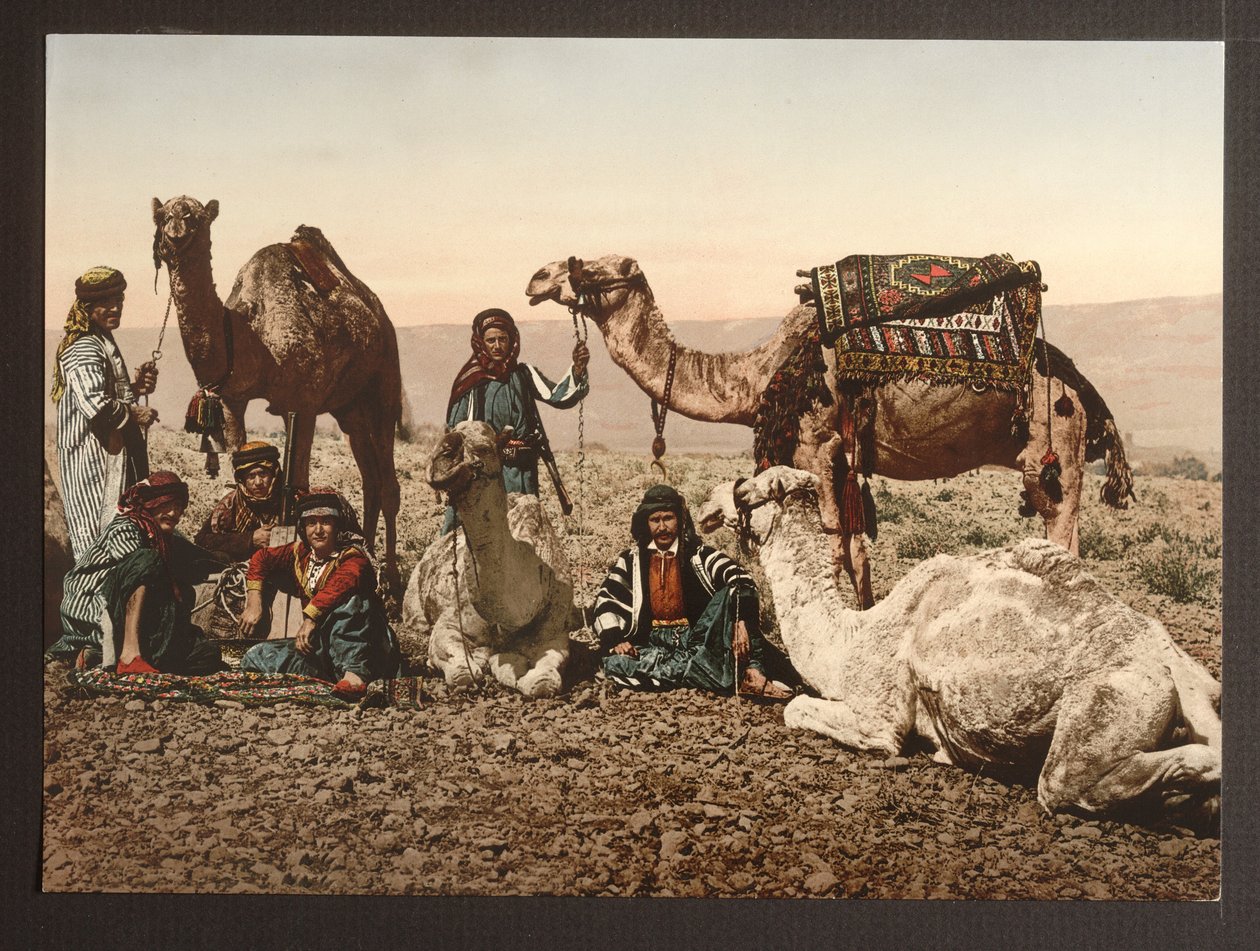 Camel Train in Desert Having a Rest, 1895 by American Photographer