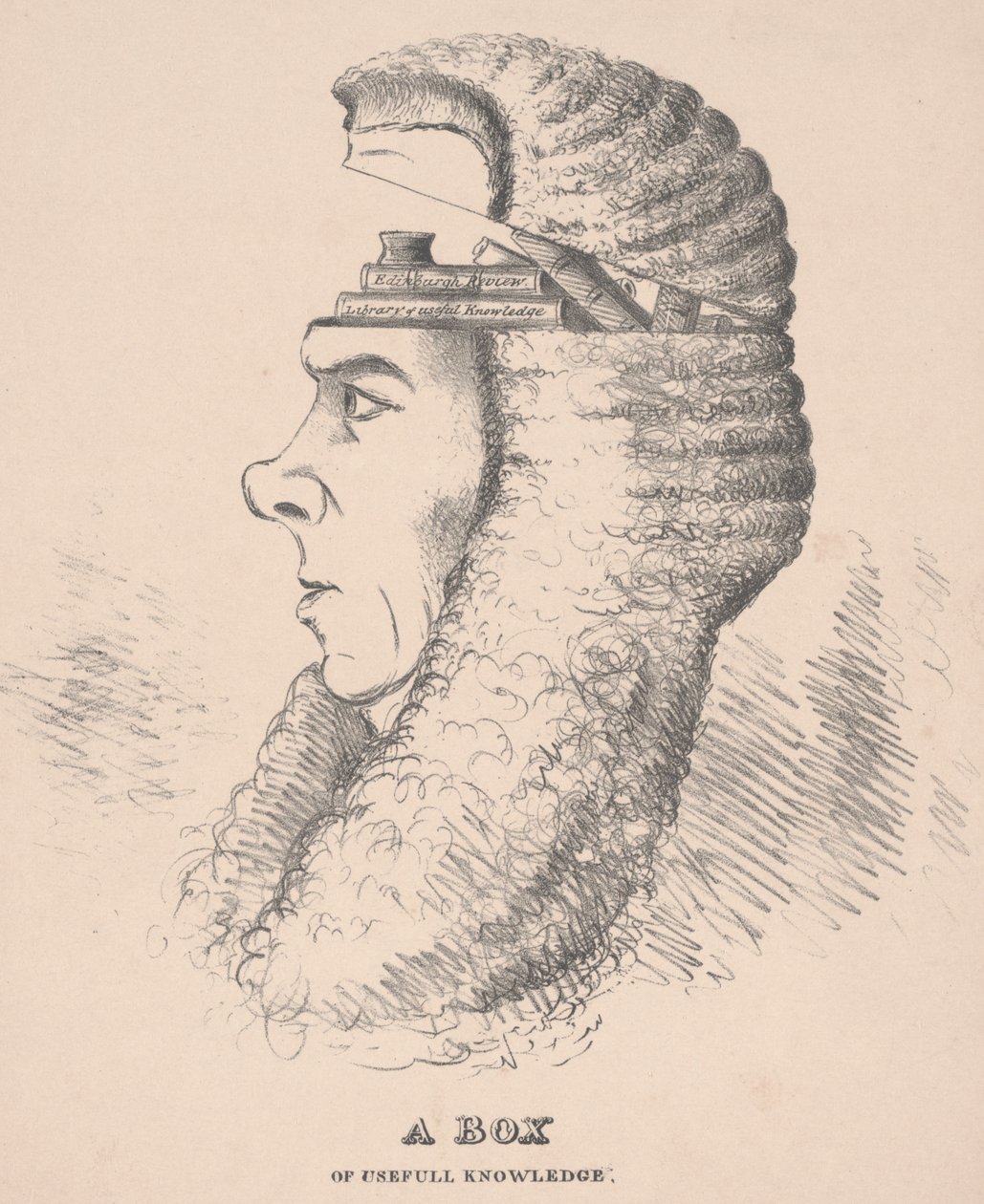 A Box of Useful Knowledge: Caricature of Brougham, 1832 by English School