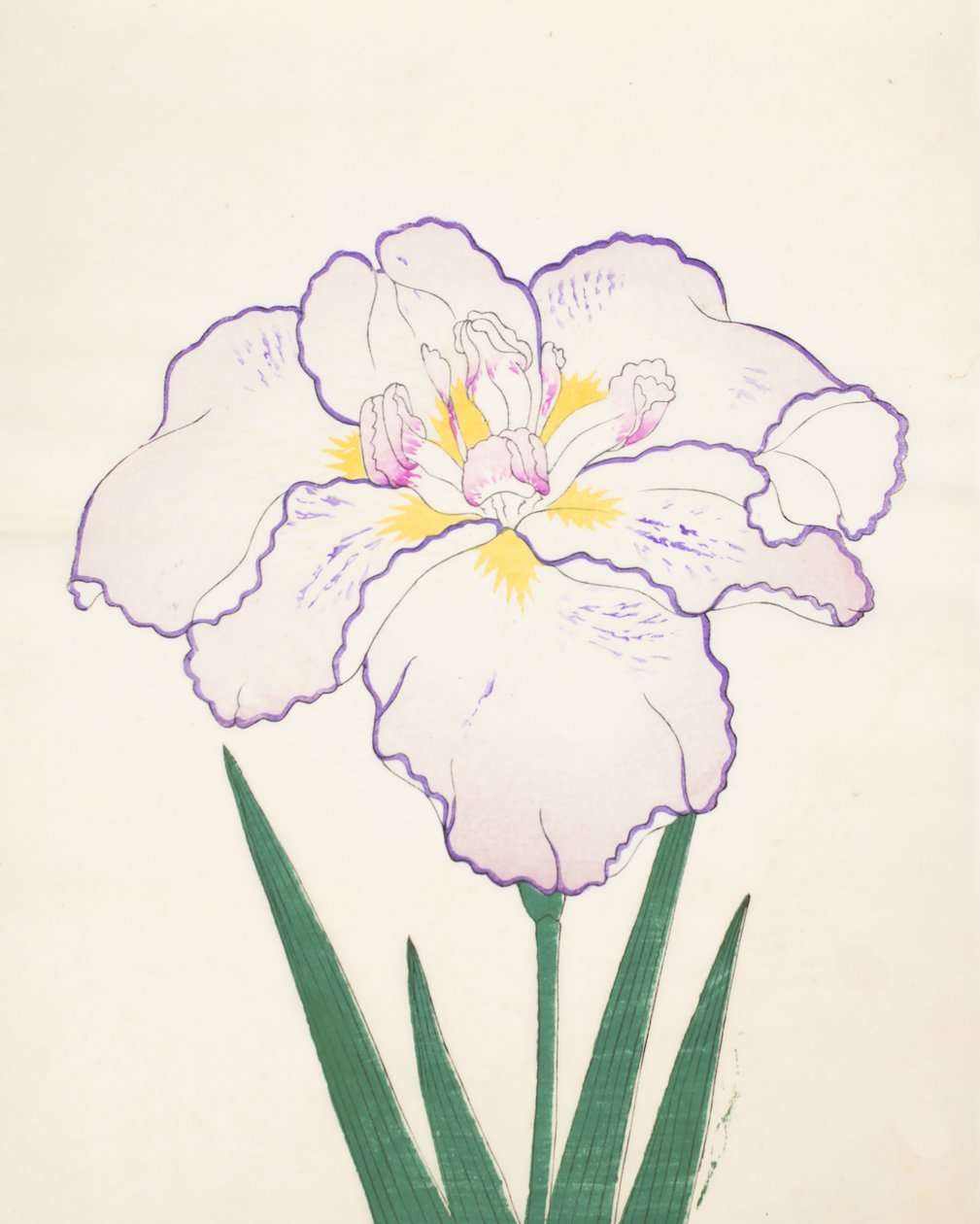 Tanporo, No. 51 by Japanese School