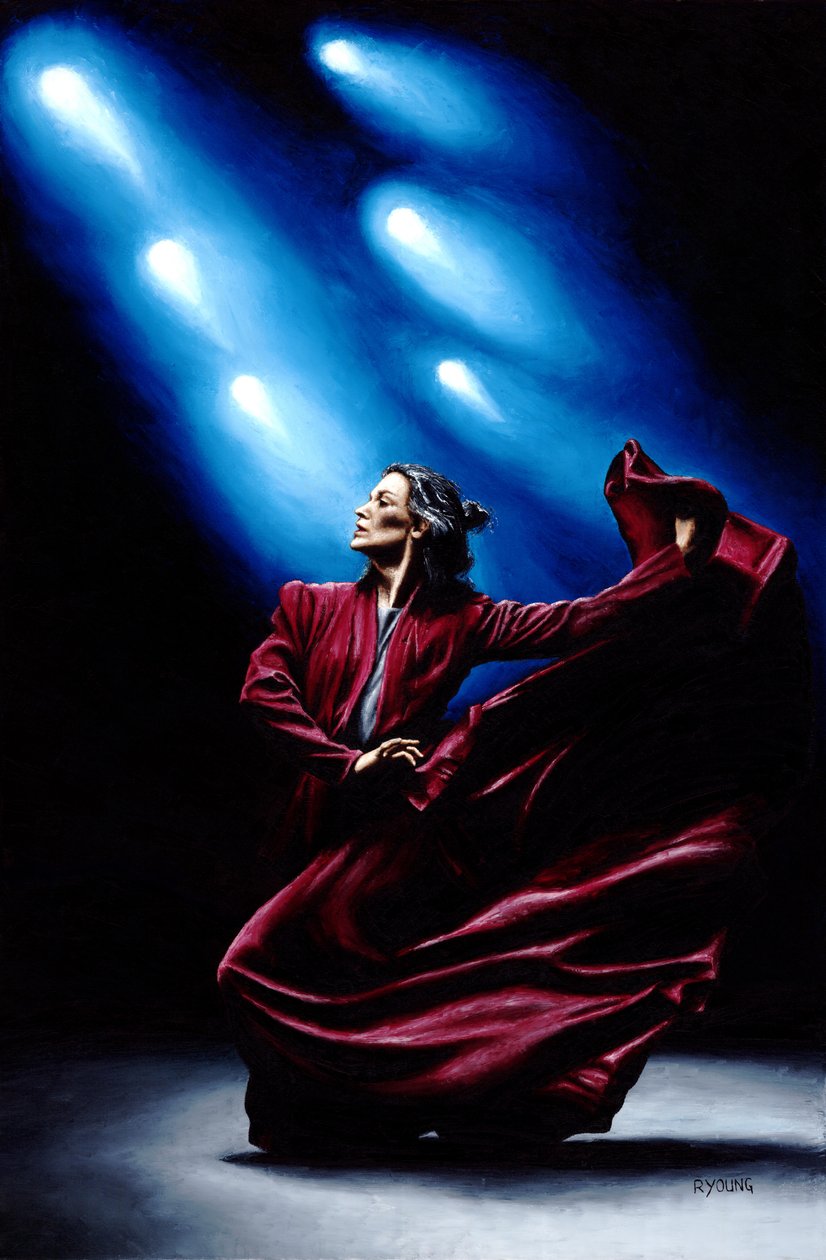 Flamenco Performance by Richard Young