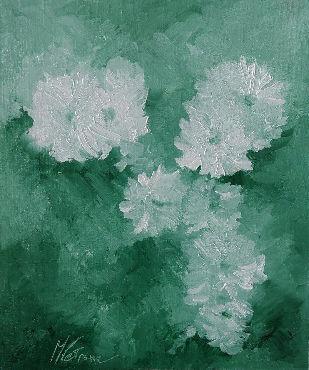 Fiori bianchi by M. Vet