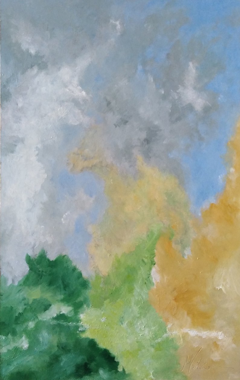 Studio Hedge and Clouds by M. Vet