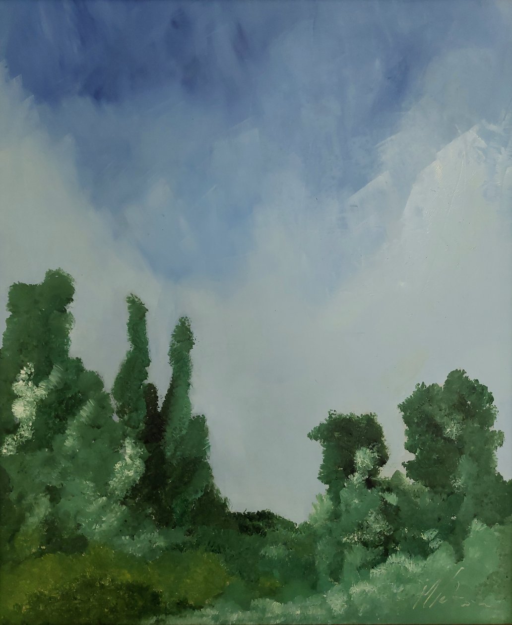 Nuvole sul bosco  by M. Vet