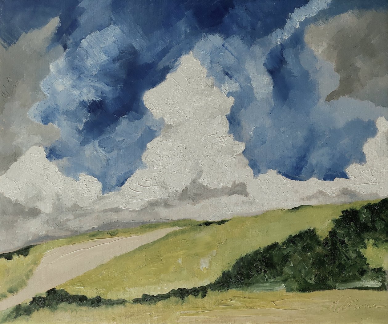 Spring Clouds by M. Vet