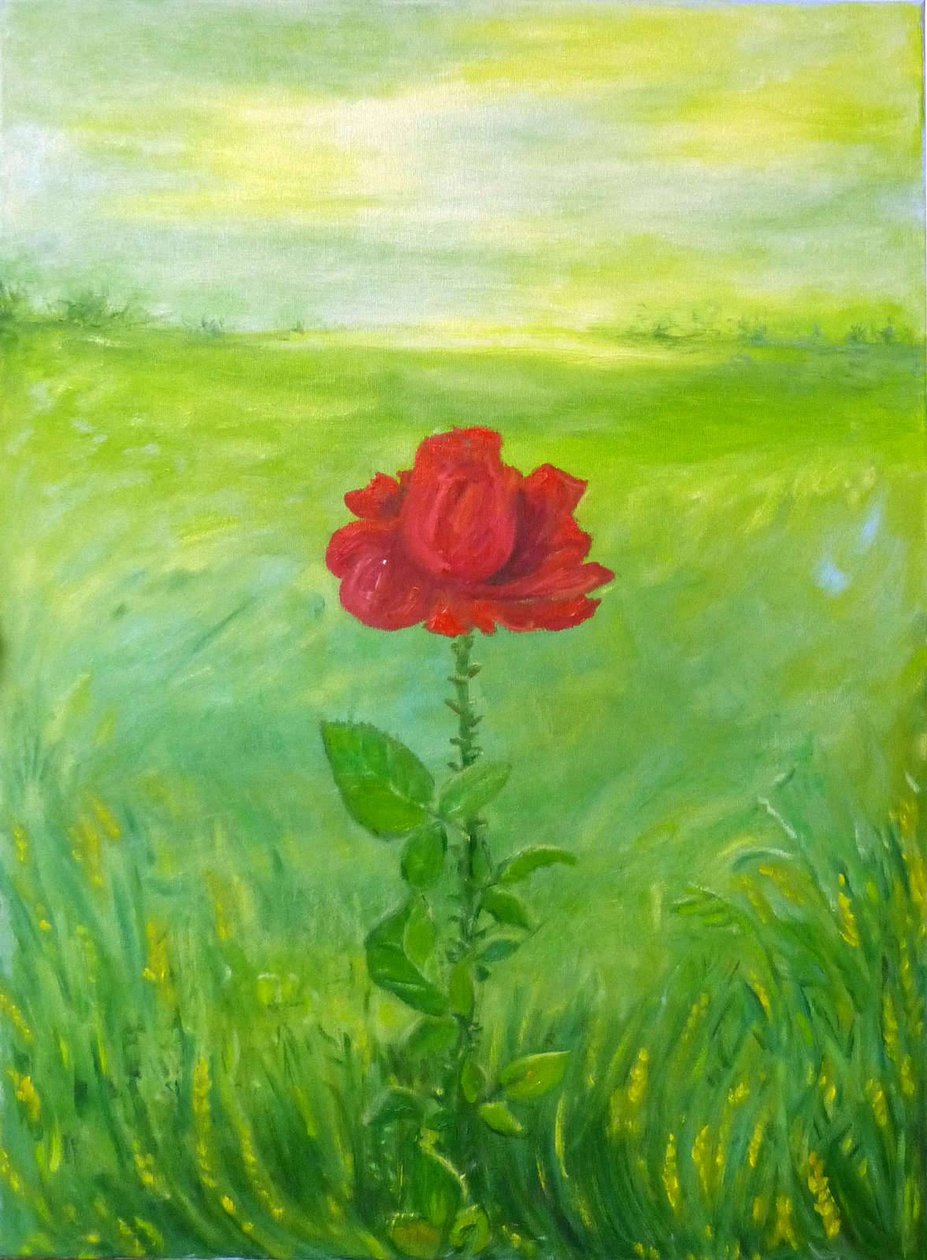Rose by Elzbieta Goszczycka