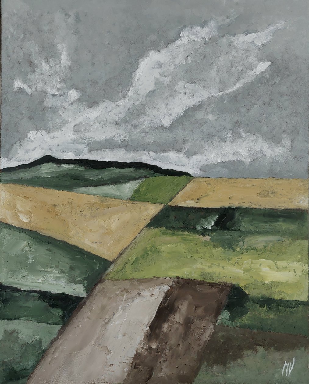 Fields by M. Vet