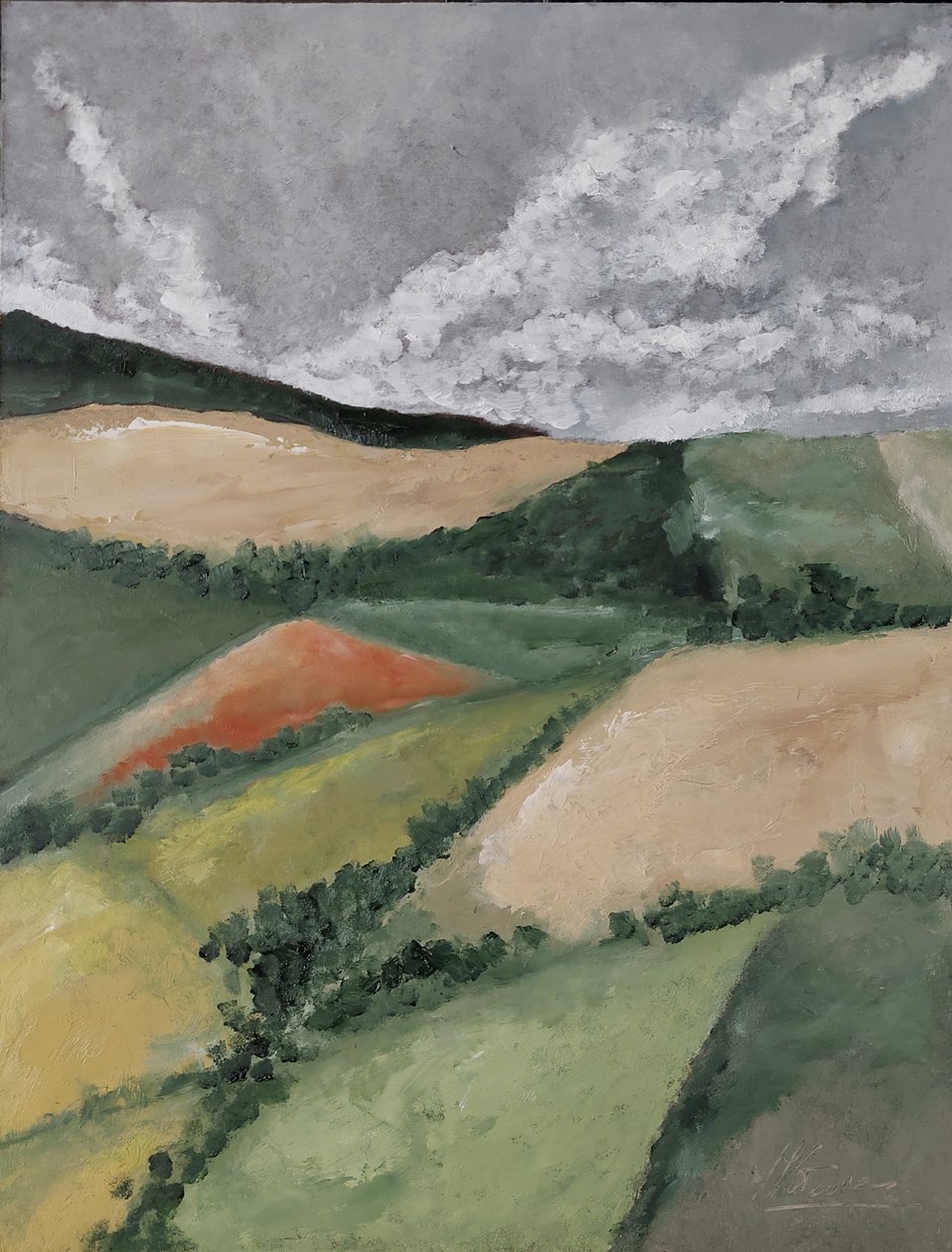 Field of Poppies by M. Vet