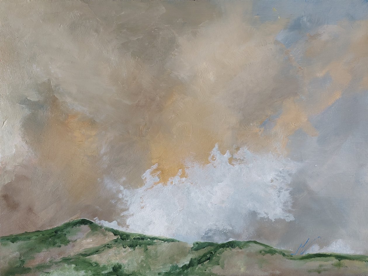 Sunset in the Sky by M. Vet