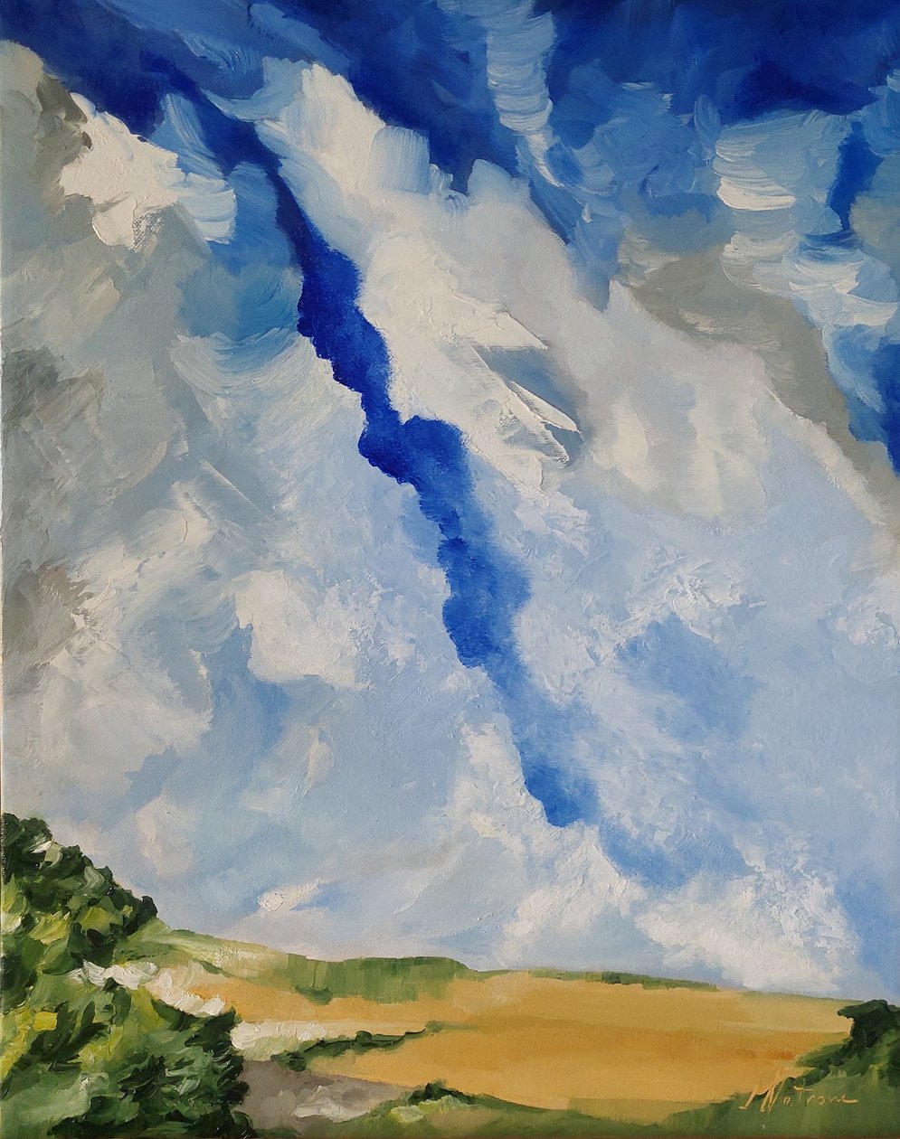 Summer Sky by M. Vet