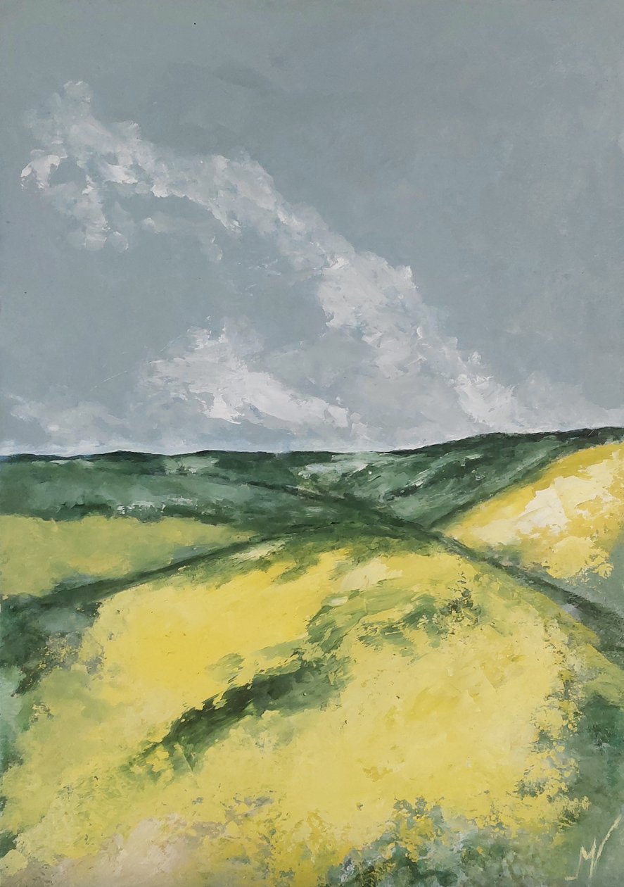 Hills and Flower Fields by M. Vet