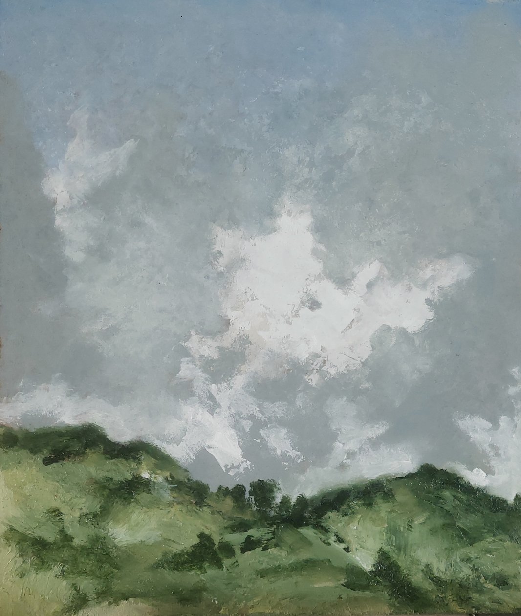 Trees on the Hill by M. Vet