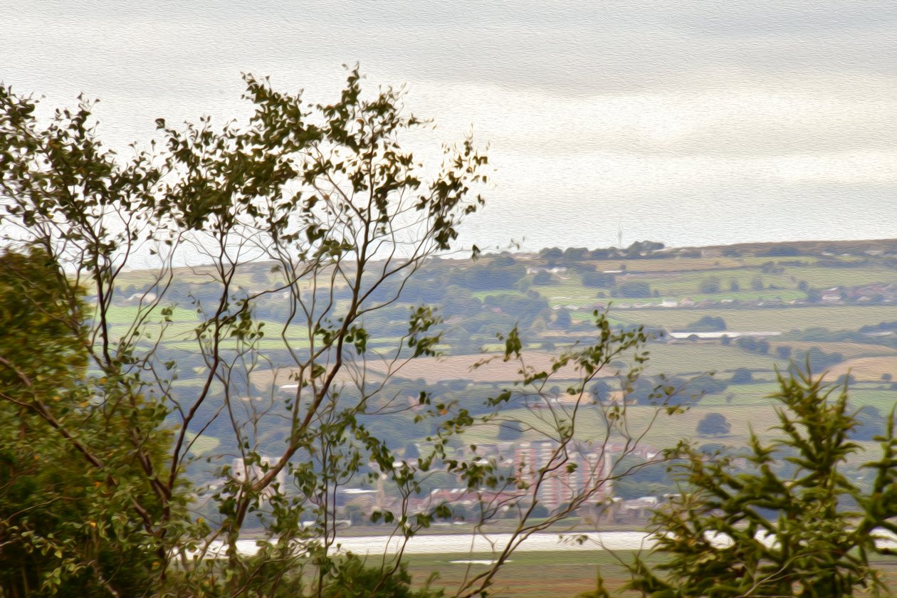 Nature Landscape by Albert Mansour