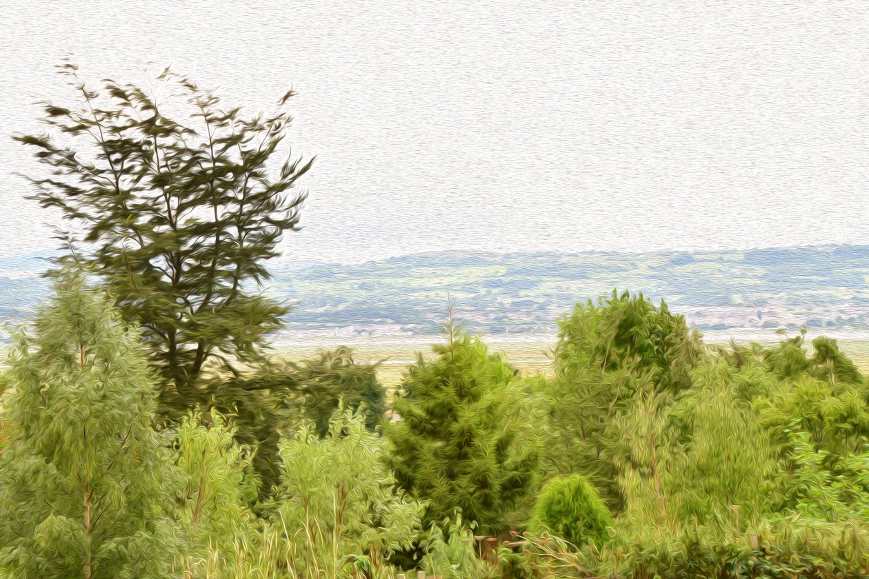 Nature Landscape by Albert Mansour