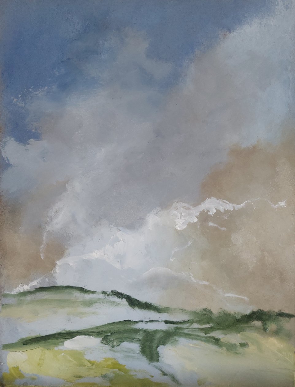 Dissolved Landscape by M. Vet