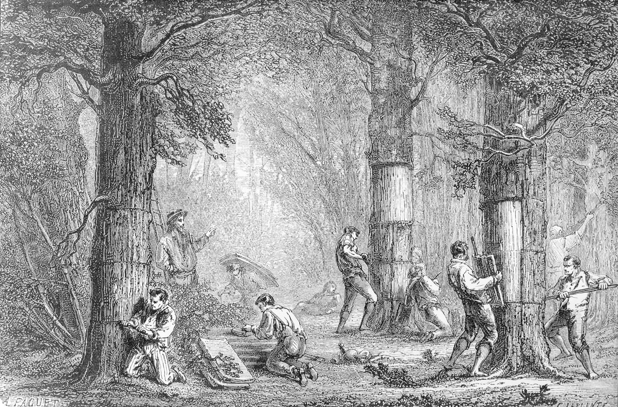 Gathering the Bark of the Cork Tree (engraved by Charles Laplante) by A. Faguet
