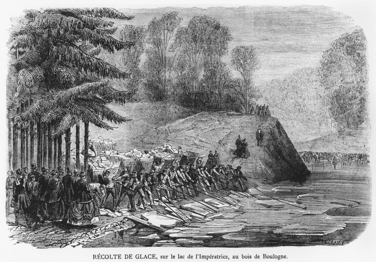 Ice harvest on the Empress Lake in the Bois de Boulogne at Paris, illustration from 