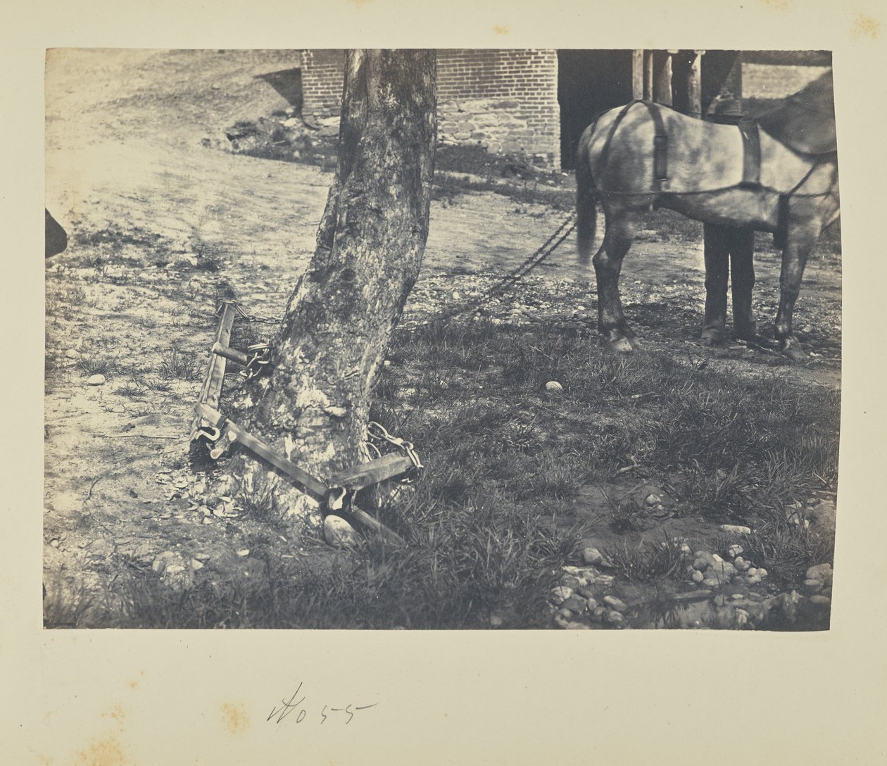 Breaking and Bending Rails Around Tree by A.J. Russell