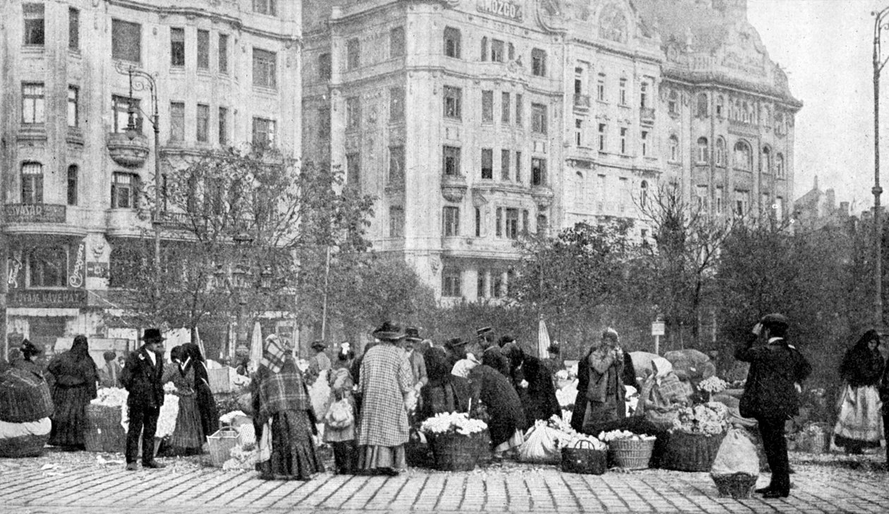 Great market of flowers, Budapest, Hungary by A. W. Cutler